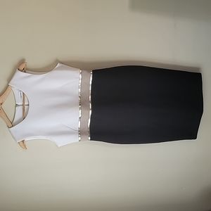METALLIC EMBELLISHED TRIM WAIST COLOR BLOCK SHEATH DRESS SIZE 10